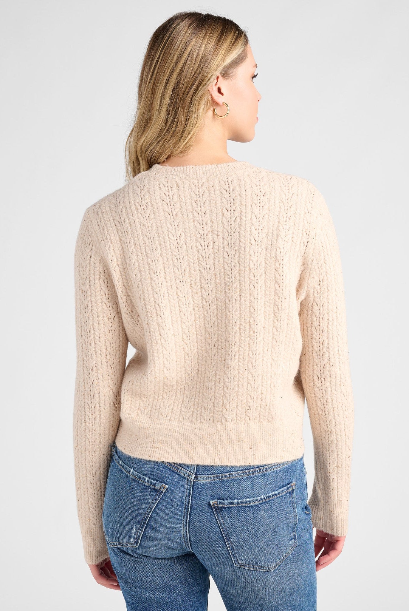 Champagne $|& SEAS Sequin Crewneck Sweater - SOF Back