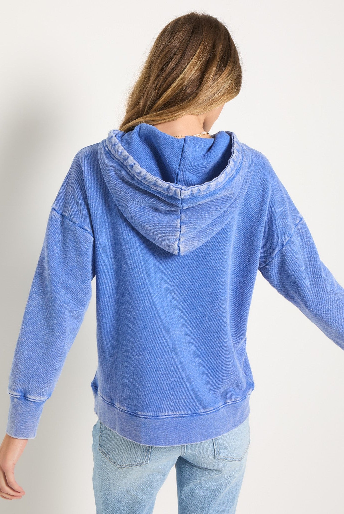 Washed Cobalt $|& SEAS Bayside Mineral Wash Hoodie - SOF Back