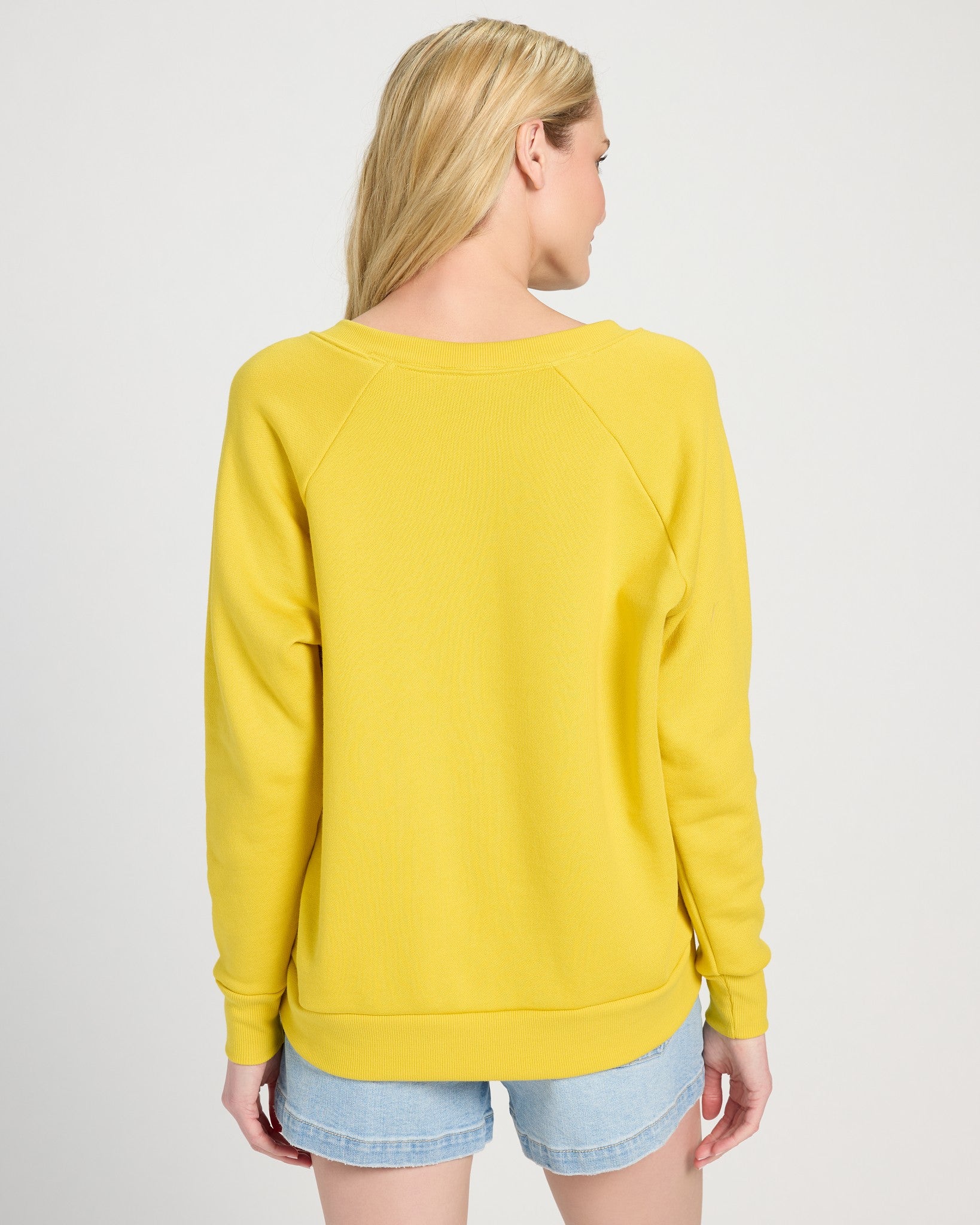 Amber Haze $|& SEAS Breaker V-Neck Sweatshirt - SOF Back
