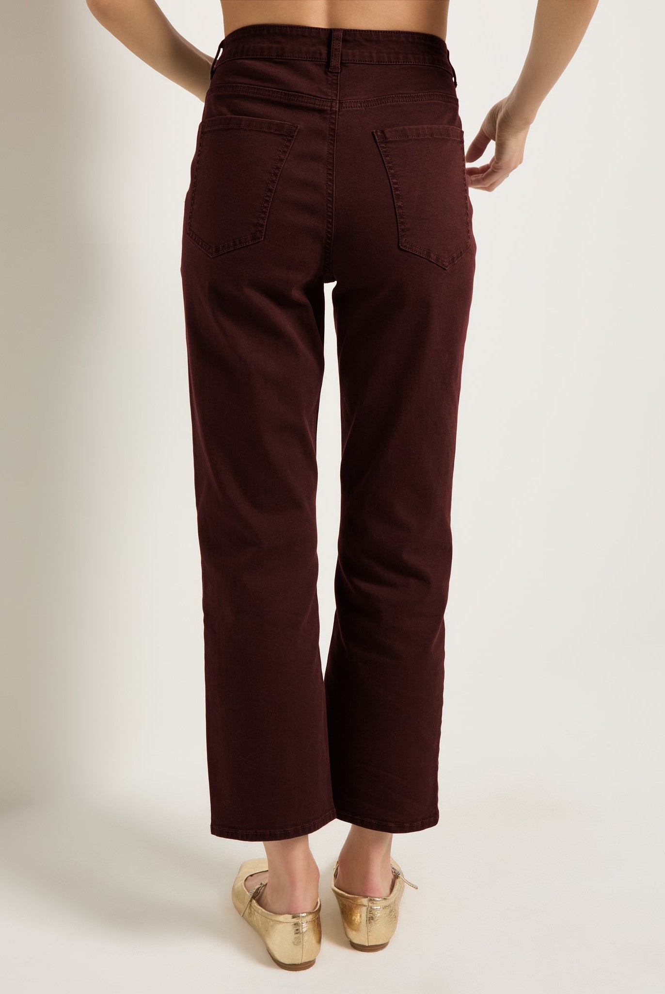 Mahogany $|& SEAS Bray Straight Leg Twill Pant - SOF Back