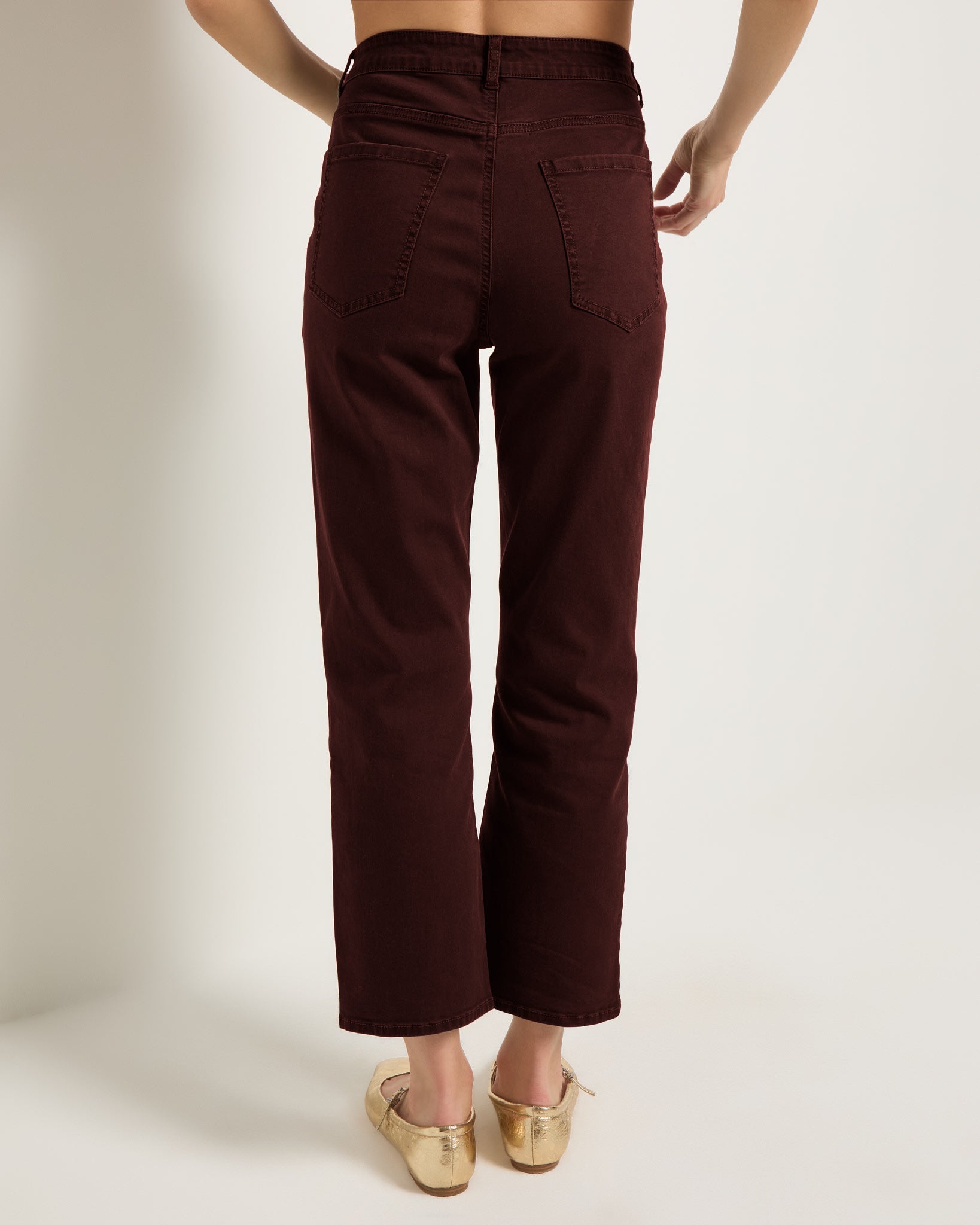 Mahogany $|& SEAS Bray Straight Leg Twill Pant - SOF Back