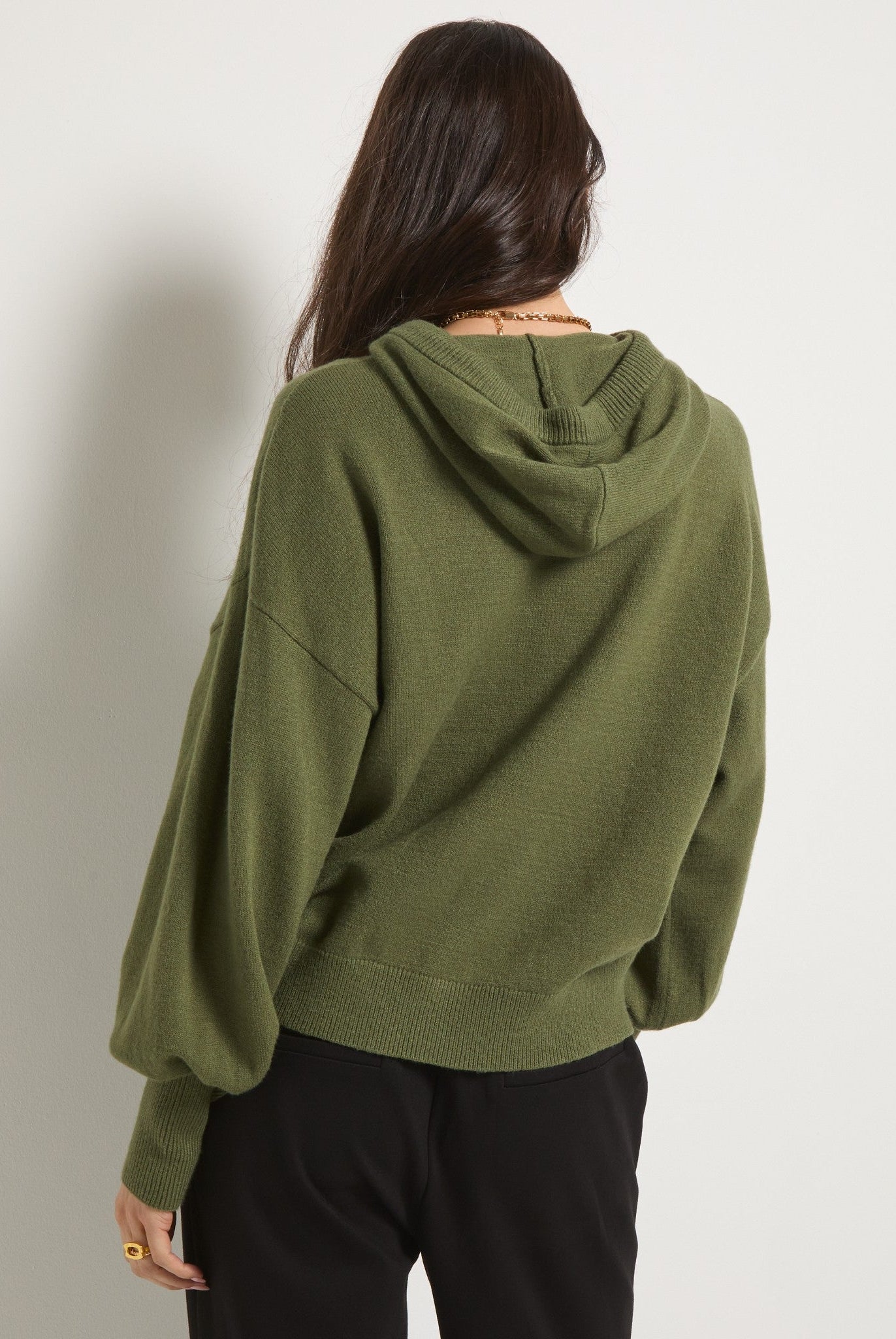 Olive Branch $|& SEAS Grove Hooded Sweater - SOF Back
