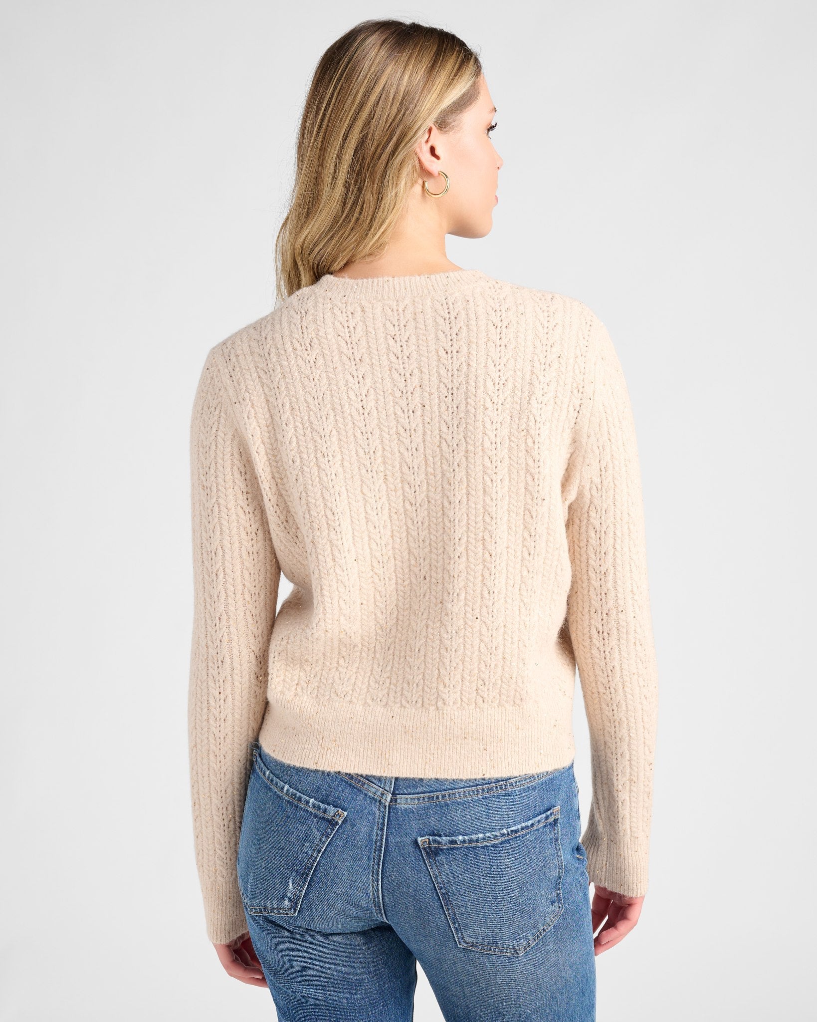 Champagne $|& SEAS Sequin Crewneck Sweater - SOF Back