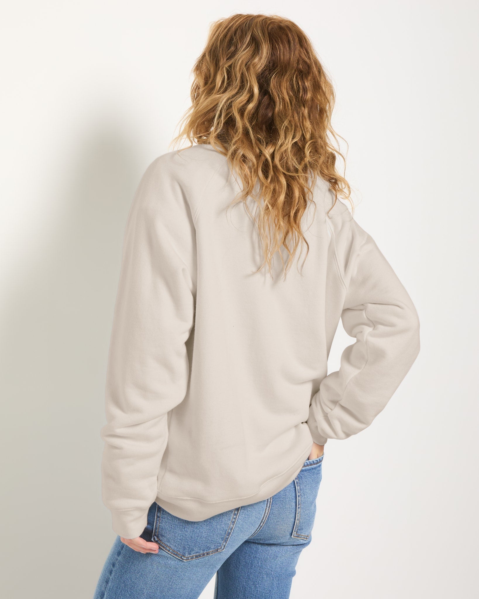 Birch $|& SEAS Cliffs Saint Tropez Raglan Sweatshirt - SOF Back